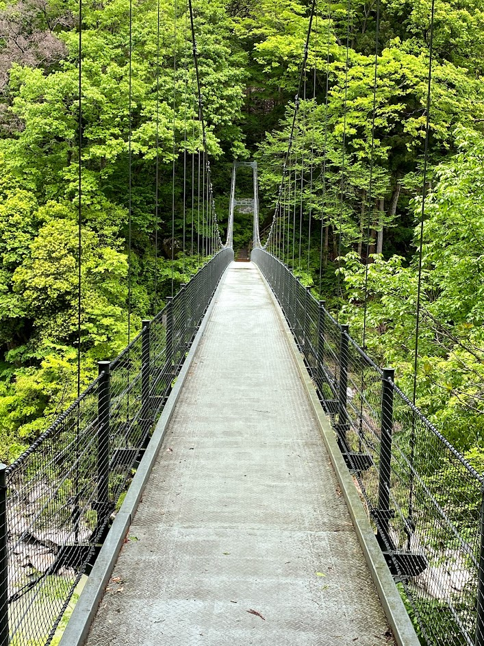 【キャンプ】うるぎ星の森キャンプ場～カエル館～天龍峡②